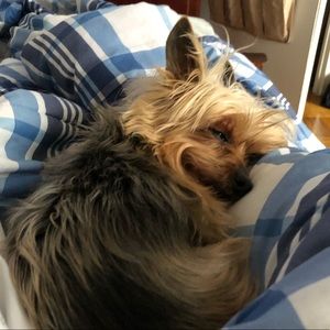 Meet your Posher, Michael